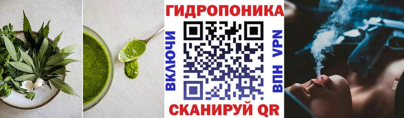наркота  Асино  MEGA tor  Еда ТГК марихуана 