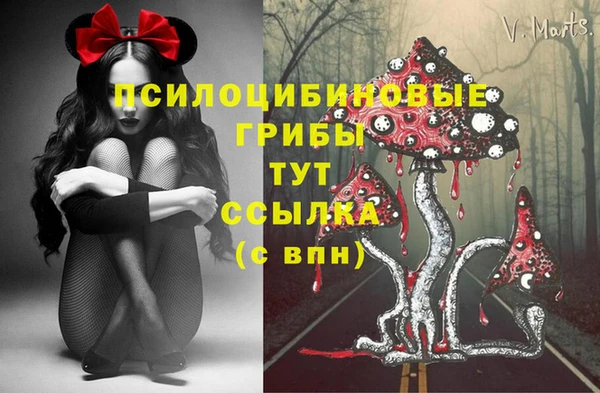прущие крисы Алзамай