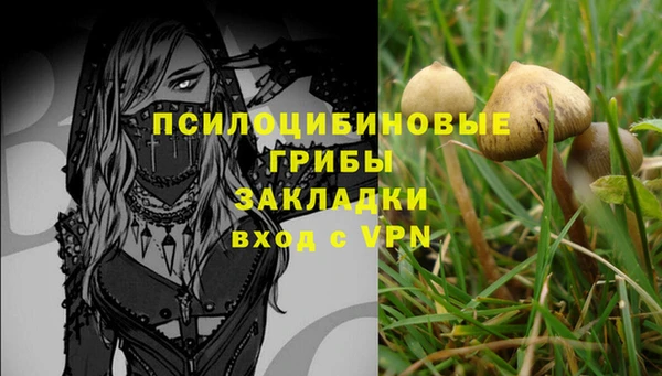 герыч Переславль-Залесский