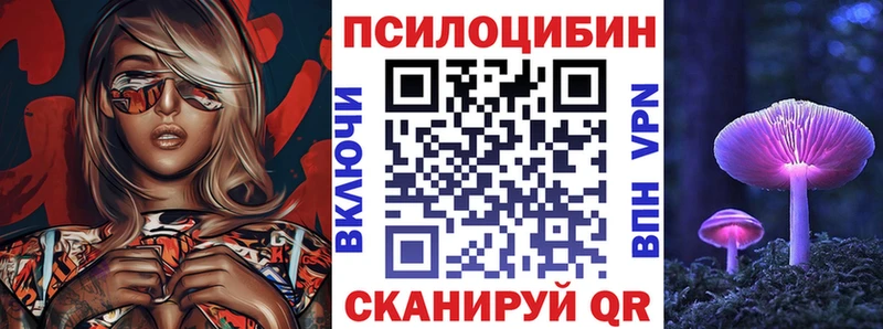 магазин  наркотиков  Асино  Псилоцибиновые грибы мицелий 